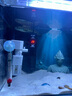 森森（SUNSUN）魚(yú)缸加熱棒自動(dòng)恒溫水族箱防爆加熱器魚(yú)缸水族用品 三代豪華款100W帶保護(hù)套(小型魚(yú)缸) 曬單實(shí)拍圖