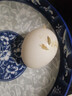 農(nóng)家散養(yǎng)谷物蛋鮮雞蛋 新鮮柴雞蛋農(nóng)場直供 10枚 單枚40g 曬單實拍圖