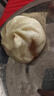 大希地嵊州老面黑豬肉小籠包 900g 約36個(gè) 鮮肉手工包子 速食冷凍早餐 曬單實(shí)拍圖