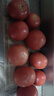 疆域采虹正宗普羅旺斯西紅柿現(xiàn)摘新鮮沙瓤水果生吃西紅柿沙漠特產(chǎn)自然熟 甄選超值18-24枚單果 50g + 曬單實拍圖
