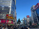 Softbank日本電話卡原生卡高速5G/4G流量上網(wǎng)卡 【不限天數(shù)】15GB 曬單實拍圖