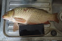 神鯊攻湖5.4米魚竿超輕超硬碳素釣魚竿手竿28調臺釣竿鯉魚桿漁具套裝 曬單實拍圖