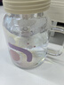 炊大皇玻璃杯女茶水分離吸管杯子耐高溫高硼硅水杯800ML（小紫花）  曬單實(shí)拍圖