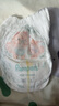 【99新】 一級幫寶適(Pampers) 拉拉褲 L72片【9-14kg】大碼褲型紙尿褲箱裝尿不濕（日本原裝進(jìn)口） 曬單實(shí)拍圖