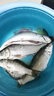 靠森（Kaooseen）料七號鯪魚(yú)專(zhuān)攻廣東野釣配方套餐斬鯪魚(yú)餌窩料誘鯪魂釣魚(yú)專(zhuān)用餌料 幸運七土鯪-腥味 曬單實(shí)拍圖