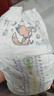 幫寶適（Pampers）綠幫拉拉褲 加大碼XL136片 曬單實拍圖