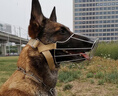 馬犬德牧狗狗嘴套防咬叫防亂食中大型犬金毛外出口罩嘴罩止吠器 不銹鋼帆布開(kāi)口款 大號【建議50-80斤】 曬單實(shí)拍圖