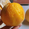 京覓山東蒙陰黃桃錦繡黃桃凈重4.5斤 單果150g+生鮮水果源頭直發(fā)包郵 曬單實(shí)拍圖