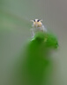 尼康（Nikon）尼克爾 Z 28-400mm f/4-8 VR 全畫(huà)幅Z卡口鏡頭 高倍率變焦 微單鏡頭 Z 28-400mm f/4-8 VR+UV鏡 曬單實(shí)拍圖