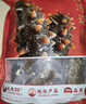 遼參大連海參有機遼刺參禮盒中秋送禮生鮮底播新鮮非即食海鮮冷凍水產(chǎn) 1000g50-60頭禮盒(寶寶參每天一根守護孩子活力) 曬單實拍圖