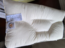Huadn日本枕頭頸椎枕病助深度舒頸枕睡眠護(hù)頸枕學(xué)生家專(zhuān)用成人修復(fù)枕芯 四維分區(qū)舒頸枕 曬單實(shí)拍圖