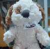 名創(chuàng  )優(yōu)品（MINISO）柴犬系列毛絨公仔趴姿玩具娃娃抱枕睡覺(jué)室內臥室辦公室生日禮物 曬單實(shí)拍圖