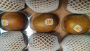 佳沛（zespri）新西蘭 陽(yáng)光金果12粒單果約122-146g 獼猴桃 中秋水果禮盒 曬單實(shí)拍圖