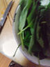 良知農哥 【順豐】東北新鮮蘇子葉 蘇紫葉蘇菜葉 健康輕食 500g約170-200片左右 曬單實(shí)拍圖