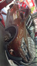 固特異（Goodyear）汽車輪胎 225/65R17 102H EGP SUV 御乘SUV二代 哈弗H6/長(zhǎng)安CS75 曬單實(shí)拍圖