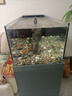 森森（SUNSUN）原生態(tài)溪流缸魚缸造景家用原生缸客廳超白玻璃底濾魚缸包安裝 庫里藍-專業(yè)款 升級底濾（雙重滴濾盒） 1.2米長47.6cm寬40cm缸高+85cm柜高 曬單實拍圖
