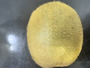 佳沛新西蘭綠果進(jìn)口奇異果綠心獼猴桃當(dāng)季新鮮水果禮盒包郵源頭直發(fā) 【22-25粒原箱】 單果約135-176g 曬單實(shí)拍圖