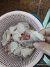 克雷蒙 無(wú)骨雞爪去骨雞爪子新鮮冷凍手工脫骨雞腳檸檬鳳爪食材雞肉生鮮 新鮮單凍 雞翅中4斤 曬單實(shí)拍圖