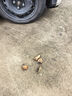 馬勒（MAHLE）汽車電瓶蓄電池起停EFB LB4福特銳界翼虎新?？怂姑傻蠚W專用75Ah 曬單實拍圖