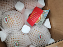 都樂(lè )Dole 秋月梨 產(chǎn)地直發(fā) 現摘現發(fā) 凈重1.6kg 4-6枚 簡(jiǎn)裝 曬單實(shí)拍圖
