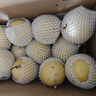 京鮮生 欽蜜9號(hào)黃金百香果 5斤單果90g+ /20-30個(gè) 生鮮水果 源頭直發(fā) 曬單實(shí)拍圖