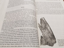 全球通史：從史前到21世紀（第七版英文版） 曬單實(shí)拍圖