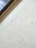 地依貓螞蟻藥方便貼家用室內(nèi)滅小黃螞蟻白蟻全窩除紅火蟻端一鍋殺蟻餌劑 曬單實(shí)拍圖