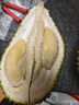 京東超市貓山王榴蓮馬來(lái)西亞D197新鮮冷凍2.5-3斤保4房水果七夕情人節(jié)禮物 曬單實(shí)拍圖