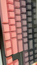 前行者【補(bǔ)貼券減15%】X87Pro/Ultra無線機(jī)械鍵盤有線藍(lán)牙三模gas客制化游戲電競(jìng)磁軸辦公專用側(cè)刻筆記本 黑莓粉側(cè)刻Ultra北極拿鐵軸V2-1.2萬mA 曬單實(shí)拍圖