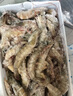 鮮京采 原裝進(jìn)口50/60厄瓜多爾白蝦 去冰凈重3.3斤 82-99只/盒 源頭直發(fā) 曬單實(shí)拍圖