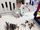babycare皇室獅子王國(guó)弱酸拉拉褲bbc寶寶尿片夏季超薄透氣嬰兒尿不濕尿片 XL 4包 128片 【12-17KG】 曬單實(shí)拍圖