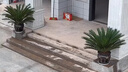 精品鐵樹(shù)盆栽大型老樁公母落地綠植陽(yáng)臺庭院旺宅喬遷送禮盆景好養 門(mén)口精品鐵樹(shù)120-130CM[福字瓷盆] 帶盆載好送貨上門(mén) 曬單實(shí)拍圖