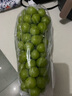玖原農(nóng)珍 四川陽光玫瑰葡萄新鮮水果晴王大顆葡萄彩箱禮盒裝 含箱3斤凈果2.5斤優(yōu)選果7-12g 曬單實拍圖