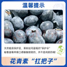 京鮮生 進口秘魯藍莓6盒裝 JUMBO 18mm+ 約125g/盒 生鮮水果 源頭直發(fā) 曬單實拍圖