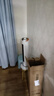奧克斯（AUX）取暖器/電暖器/電暖氣家用/取暖電器/電暖氣暖風(fēng)機電暖風(fēng)熱風(fēng)機電熱扇塔式石墨烯暖風(fēng)機NSBE-200GS 曬單實(shí)拍圖