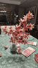 小紅書(shū)款土豪發(fā)財樹(shù)有錢(qián)花diy材料包亞克力永生花情人節禮物花盒 綠瓶材料包+拼接款亞克力盒 曬單實(shí)拍圖