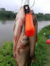 釣魚(yú)神器黑科技超聲波誘魚(yú)器探魚(yú)器電子捕戶(hù)魚(yú)器強效聚魚(yú)抓魚(yú)神器 一個(gè)【誘光整條河】 曬單實(shí)拍圖