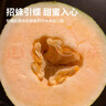京鮮生新疆86王八六王蜜瓜 單果2.5斤起 凈重8-9斤 2-3粒裝 源頭直采 曬單實(shí)拍圖