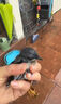 四喜鳥飼料八哥營養(yǎng)鳥食亮羽壯膘提性促鳴叫畫眉繡眼玉鳥混合鳥糧 500g 1袋 【提性壯膘】 曬單實拍圖