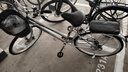 飛鴿（FLYING PIGEON）自行車成人通勤車自行車學生單車成人自行車通勤自行車城市公路車 頂配銀|單速+雙碟剎+實心胎+禮包 26寸|身高160-185cm 曬單實拍圖