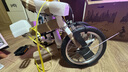 大行（DAHON）折疊自行車16英寸YUKI超輕迷你便攜男女式通勤單車KT610 白色  曬單實(shí)拍圖