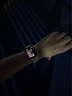 泰閣詩雅適用iwatch s10表帶彩鉆狗狗蘋果手表s9/s8/s7/s6金屬手鐲表帶apple watch se表帶女款腕帶 星光色【小狗彩鉆】 適用38/40/41/S10【42mm】表盤 曬單實拍圖