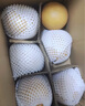 京鮮生安徽碭山新玉冰糖梨 3斤裝 單果250g+ 生鮮水果源頭直發(fā) 曬單實(shí)拍圖