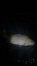 沃鼎GT抄網(wǎng)全套撈魚(yú)網(wǎng)兜伸縮碳素超硬抄網(wǎng)桿大物抄竿網(wǎng)頭撈魚(yú)漁網(wǎng)撈網(wǎng) 3m 45cm GT大物抄網(wǎng)桿+大物網(wǎng)頭 曬單實(shí)拍圖