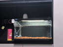 當貝智能生態(tài)魚(yú)缸1Ultra 一體缸自循環(huán)雙過(guò)濾AI托養懶人家用桌面魚(yú)缸 曬單實(shí)拍圖