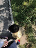 Skyoo美國品牌有機(jī)硒片hpv增強(qiáng)免疫力成人女士補(bǔ)硒麥芽硒片 60片/瓶 曬單實(shí)拍圖