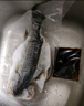 海名威 冷凍三去海鱸魚(yú)880g/2條 (配料包) 海魚(yú) 生鮮魚(yú)類(lèi) 海鮮水產(chǎn) 中秋 曬單實(shí)拍圖