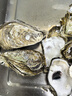 鮮京采 鮮活生蠔3XL 凈重6.18斤 15-20只 生鮮海鮮 中秋聚餐 源頭直發(fā) 曬單實拍圖