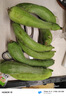 山東短胖肉絲瓜青絲瓜肉棒絲瓜新鮮厚肉現摘現發(fā)蔬菜消暑解膩 4斤 曬單實(shí)拍圖