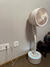 amadana日本艾曼達C9時(shí)光空氣循環(huán)扇家用落地燈電扇直流變頻立式音靜電風(fēng)扇3D智能語(yǔ)音渦輪換氣扇空調伴侶 富士白-C9【氛圍燈/語(yǔ)音旗艦款】 曬單實(shí)拍圖